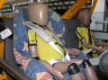 Neuer Kinder-Dummy für Crashtests