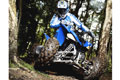 Quad: Neues 250er-ATV fürs Gelände