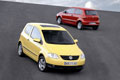 VW ruft Fox zurück