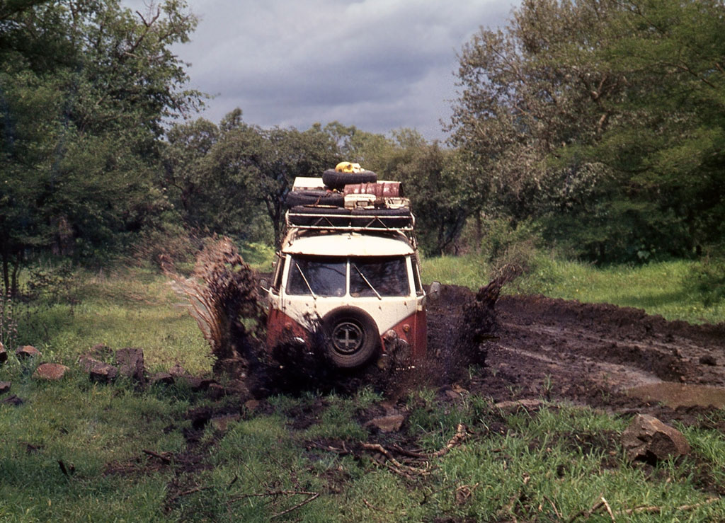 VW Bulli T1