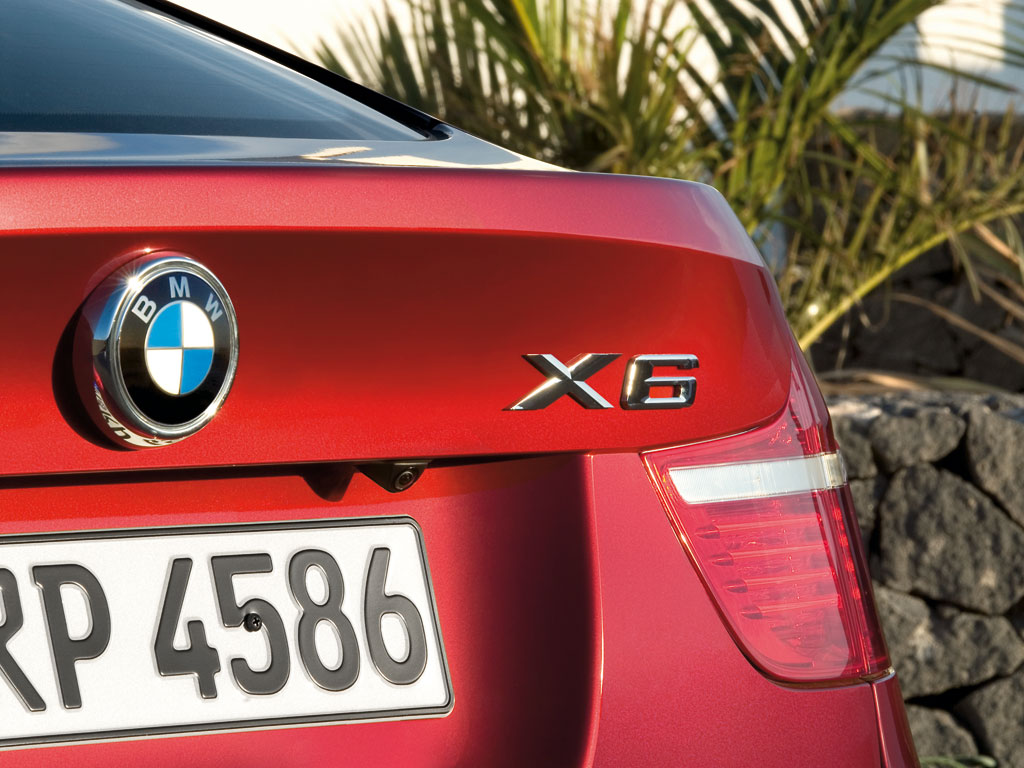 BMW X6