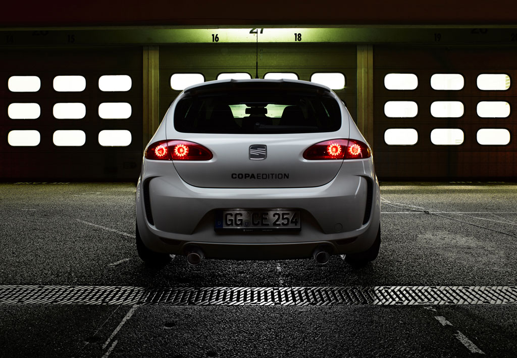 Seat Leon mit 285 PS