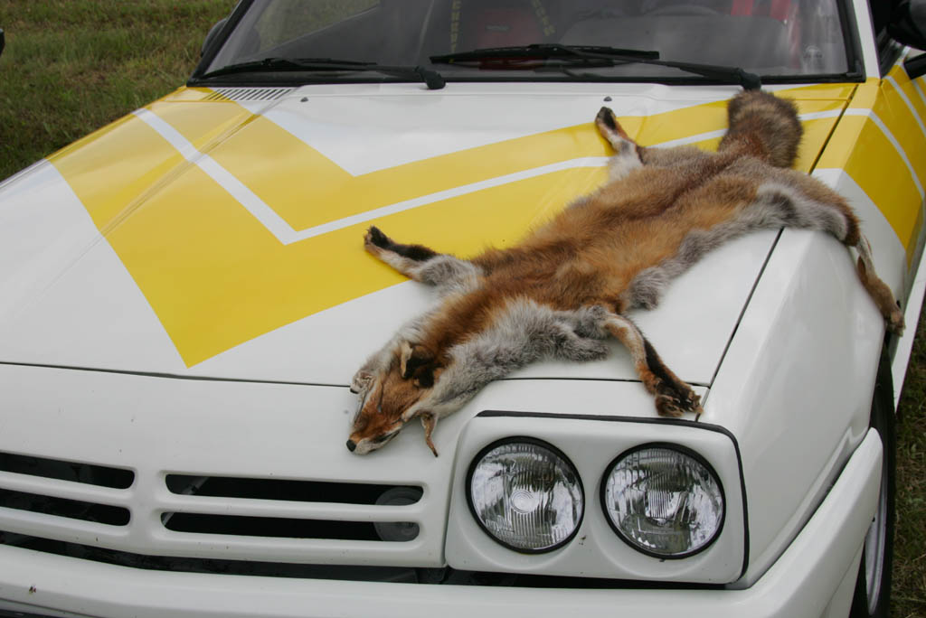 9. Donau Opeltreffen der Opel Freunde Saal vom 14. Juni 08