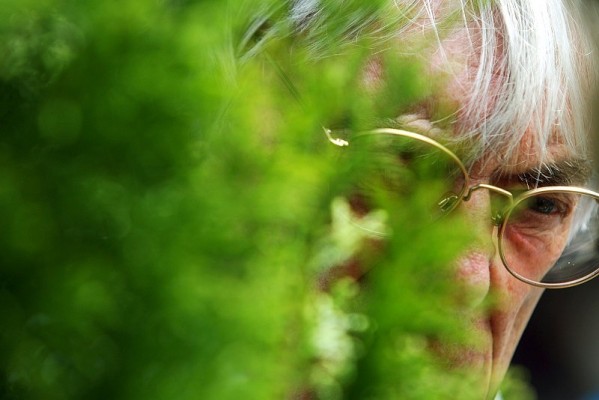 Ecclestone und Afrika, Teil 3: Ein Blick auf die Strukturen