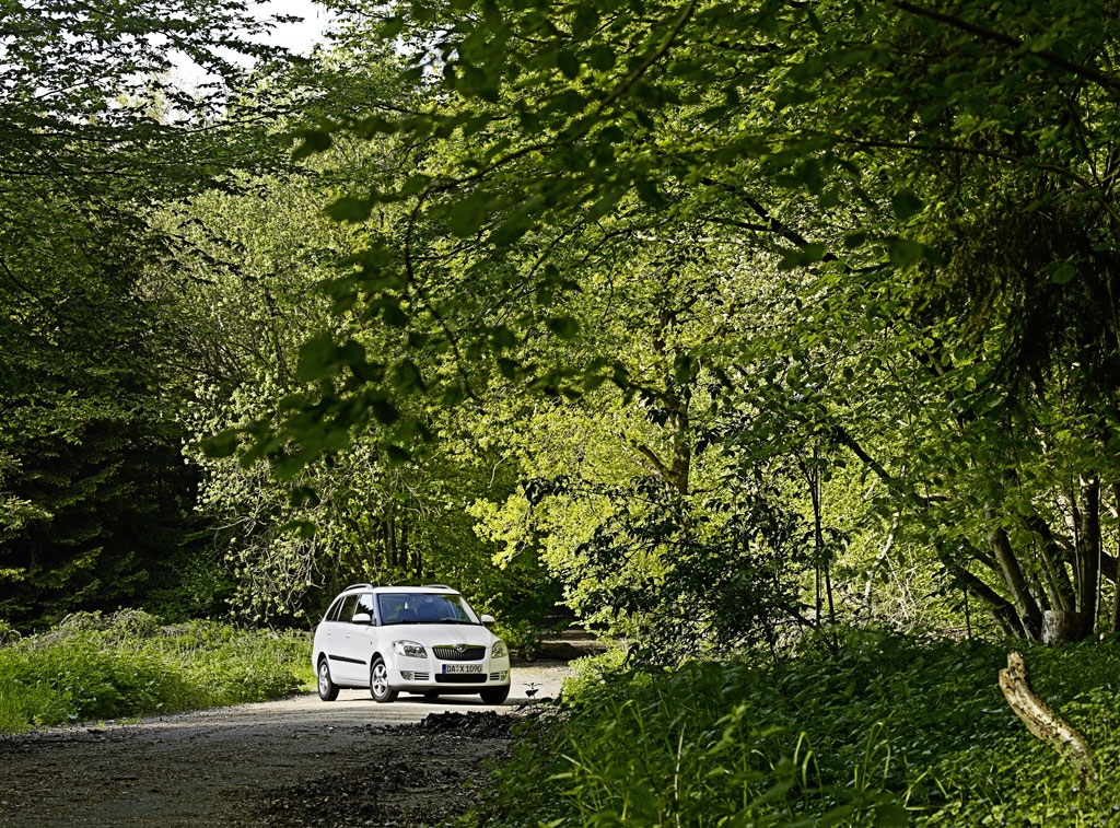 Skoda Fabia Green Line