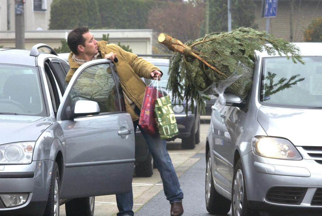 Service: Was beim Transport des Weihnachtsbaums zu beachten ist