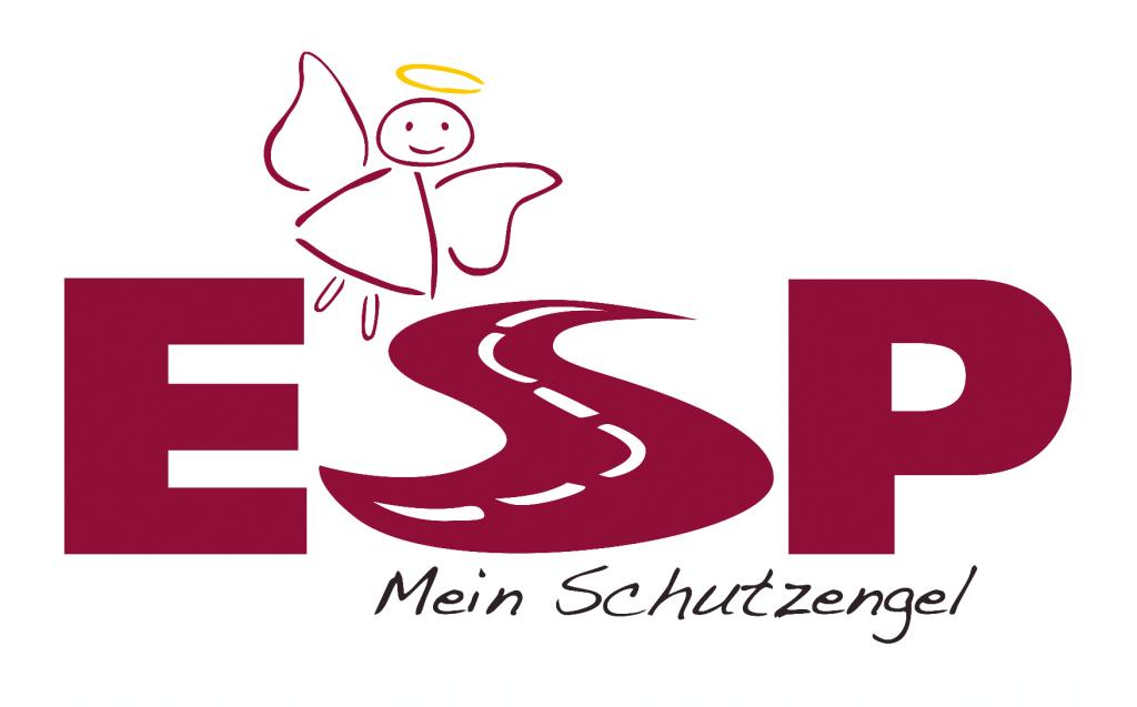 Unfallforscher raten Gebrauchtwagenkäufern zu ESP