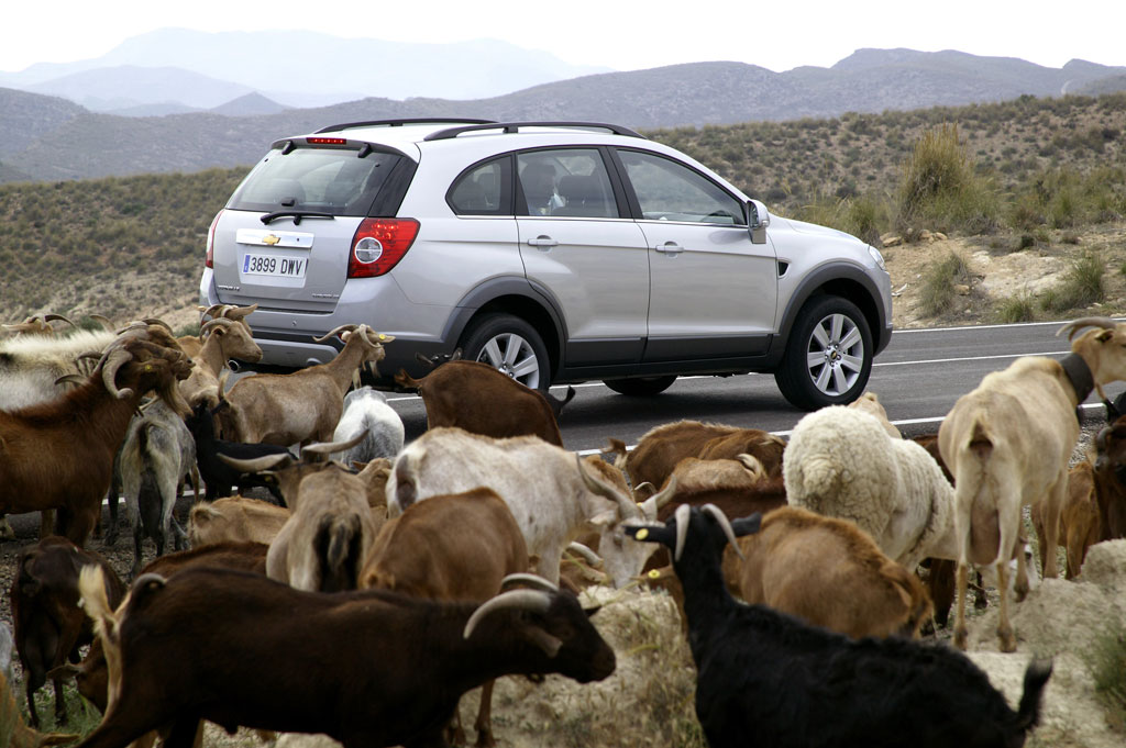 Fahrbericht Chevrolet Captiva LT LPG: Günstiges Reisegefährt