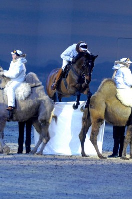 Jeep mit Zugfahrzeugen auf der ''Equitana'' 