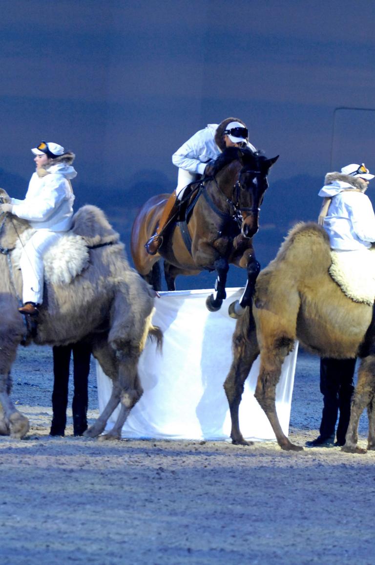 Jeep mit Zugfahrzeugen auf der ''Equitana'' 
