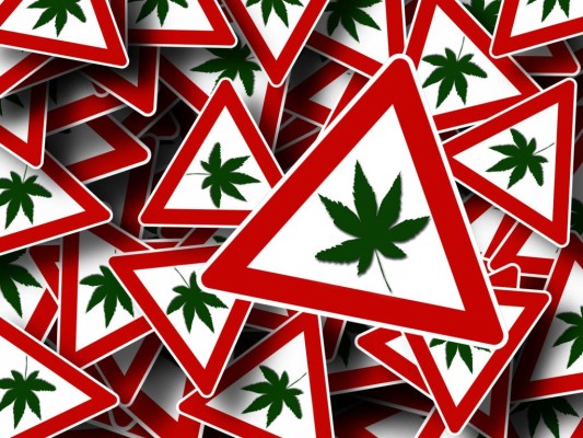 Recht: Führerscheinentzug bei regelmäßigem Cannabis-Konsum 