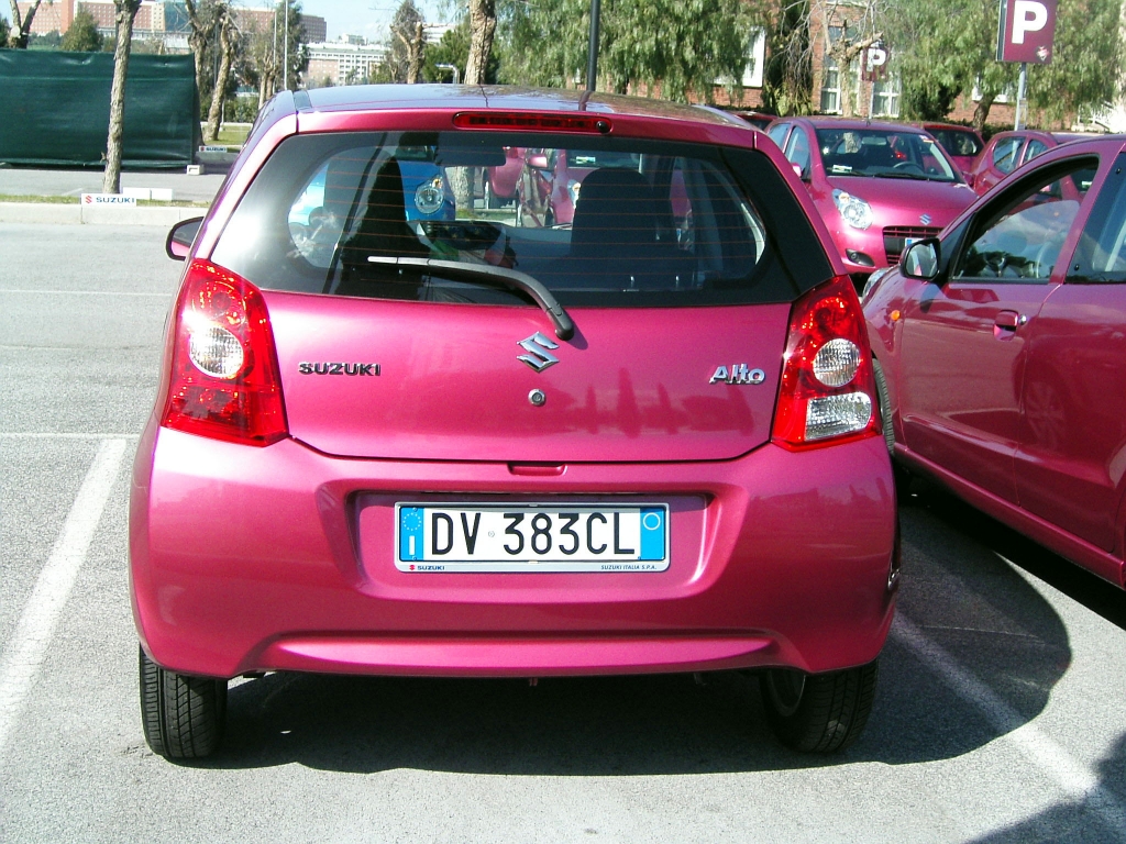 Suzuki Alto: Japanischer Stadtfloh aus Indien