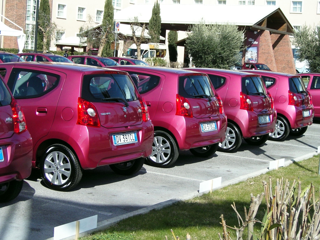 Suzuki Alto: Japanischer Stadtfloh aus Indien
