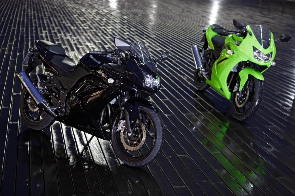 Fahrbericht Kawasaki Ninja 250R: Günstige Einstiegssportlerin 