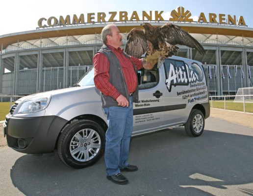 Maskottchen Attila fährt im Fiat Doblò Cargo
