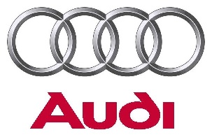 Vorverkauf für Audi-Sommerkonzerte 2009 beginnt