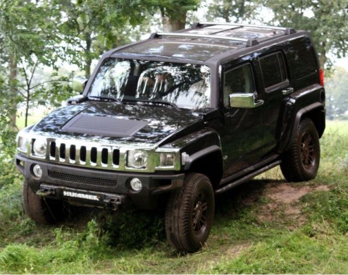 Chinesen wollen Hummer übernehmen