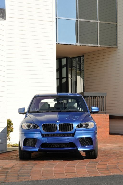 X5: Technischer Zwilling: BMW X5 M