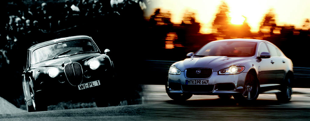 Jaguar - Bild(4)