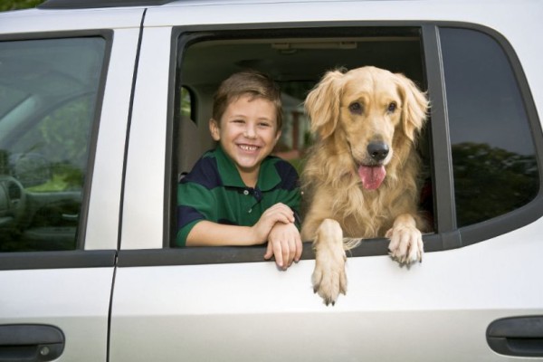 Recht: Hundehalter haftet auch für Erschrecken 