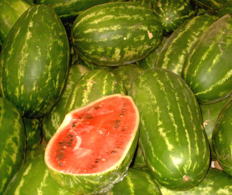 Die süße Frucht im Tank – Forscher entdecken die Wassermelone als Biokraftstoff 