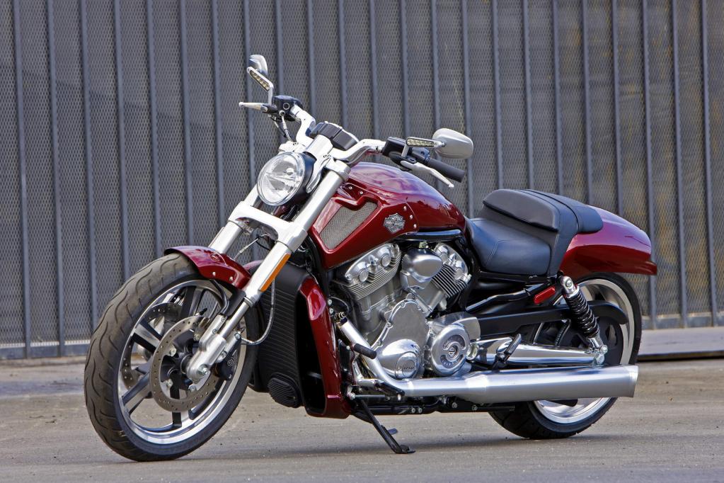 Fahrbericht Harley-Davidson V-Rod Muscle: Kantige Muskelspiele mit Stil 