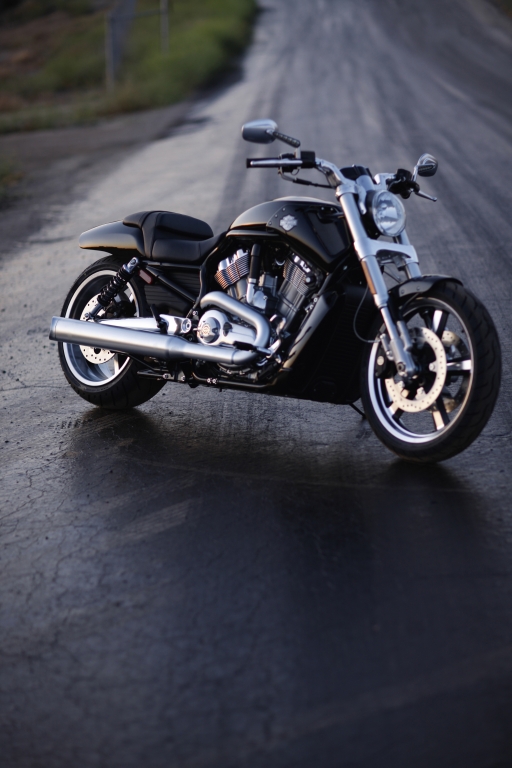 Fahrbericht Harley-Davidson V-Rod Muscle: Kantige Muskelspiele mit Stil 