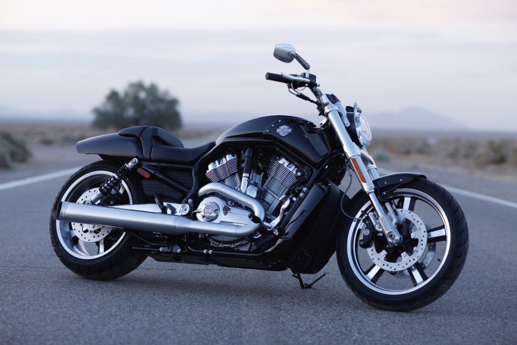 Fahrbericht Harley-Davidson V-Rod Muscle: Kantige Muskelspiele mit Stil 