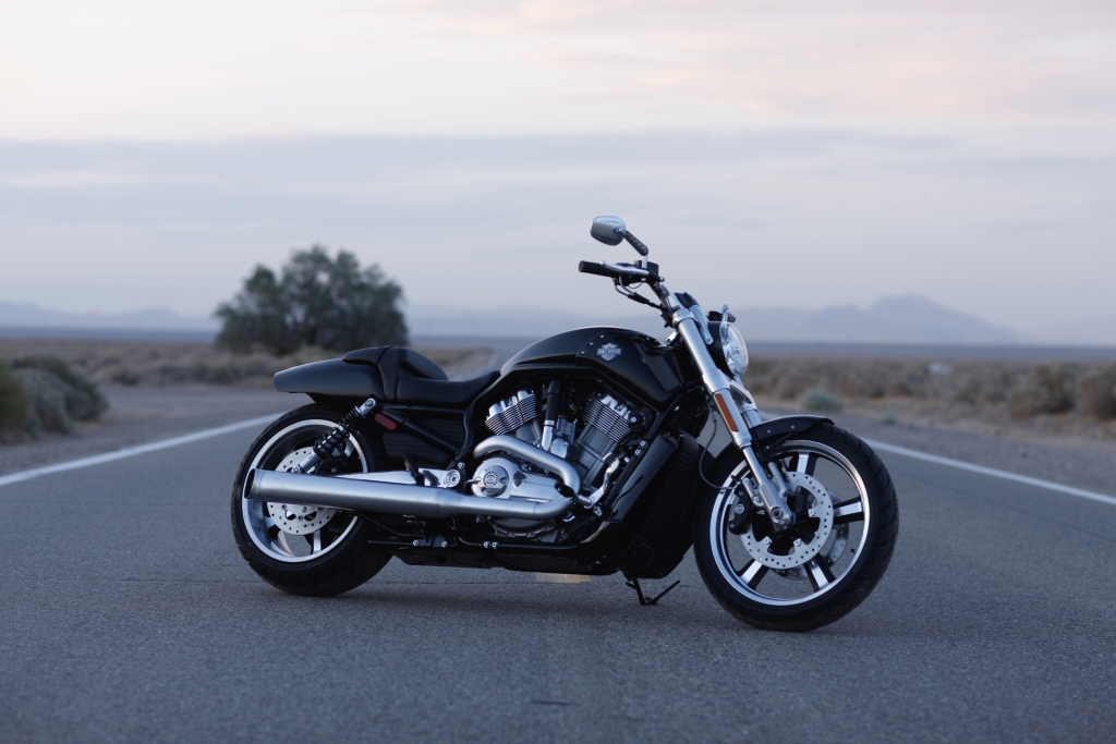 Fahrbericht Harley-Davidson V-Rod Muscle: Kantige Muskelspiele mit Stil 