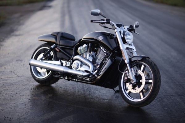 Fahrbericht Harley-Davidson V-Rod Muscle: Kantige Muskelspiele mit Stil 