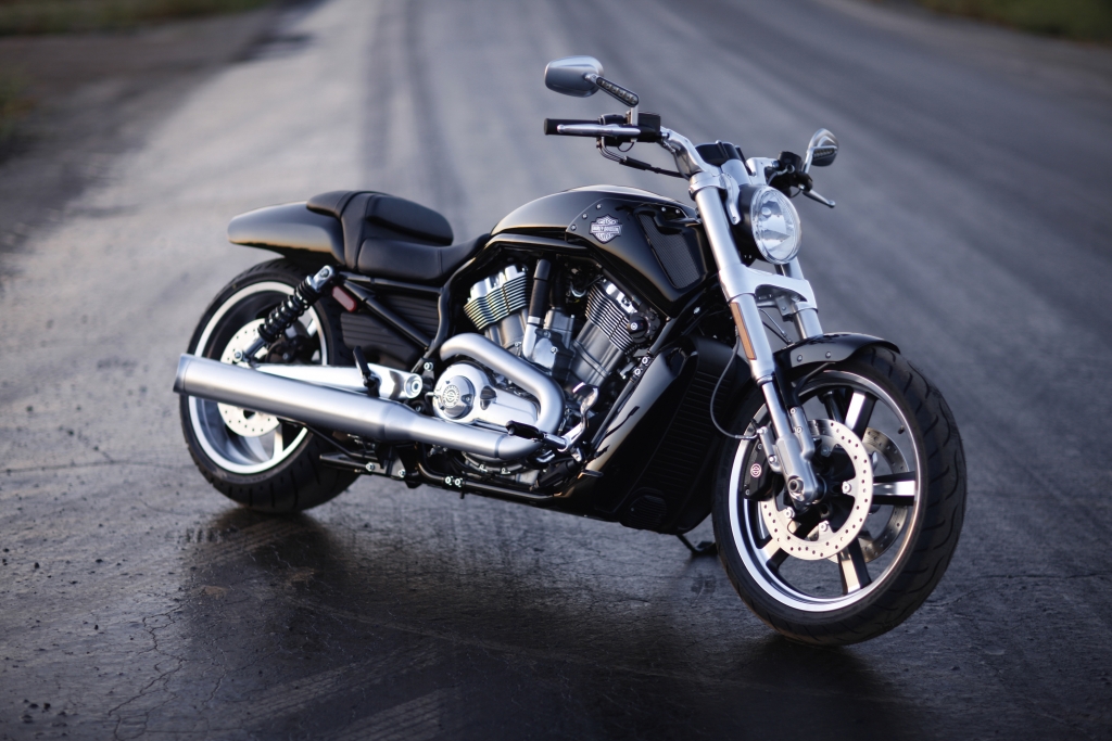 Fahrbericht Harley-Davidson V-Rod Muscle: Kantige Muskelspiele mit Stil 
