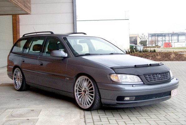 Bra oder black nose - Nasenschoner für das Auto