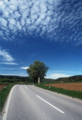 CO2-Richtlinien für Kleinlaster 