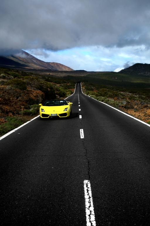 Lamborghini Gallardo: Stark, flach, schnell