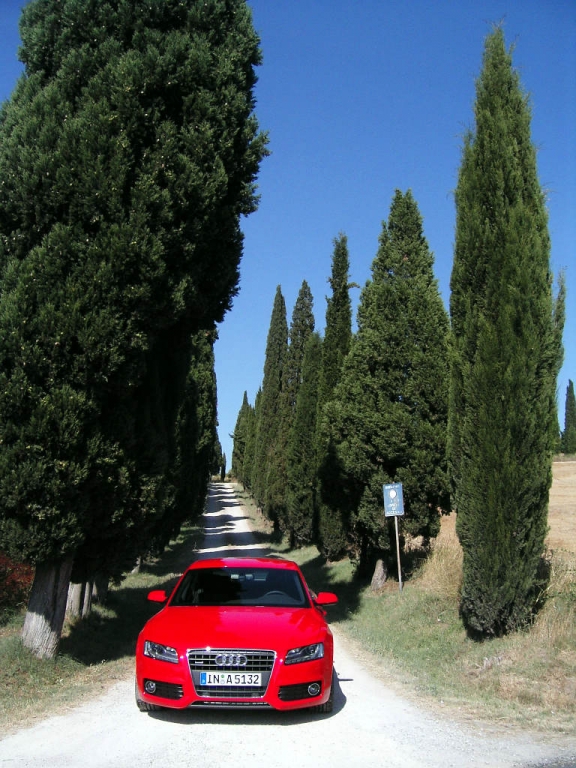 Audi - Bild(14)