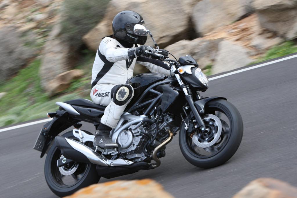 Fahrbericht Suzuki Gladius 650: Spaßiger V-Twin für kleines Geld 