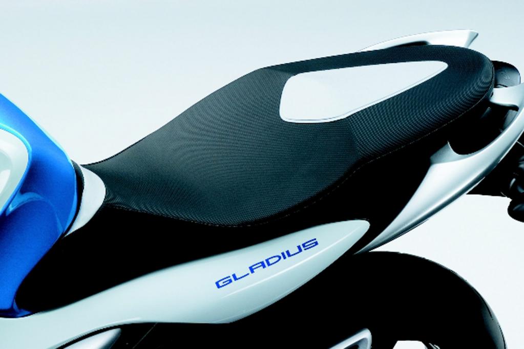 Fahrbericht Suzuki Gladius 650: Spaßiger V-Twin für kleines Geld 