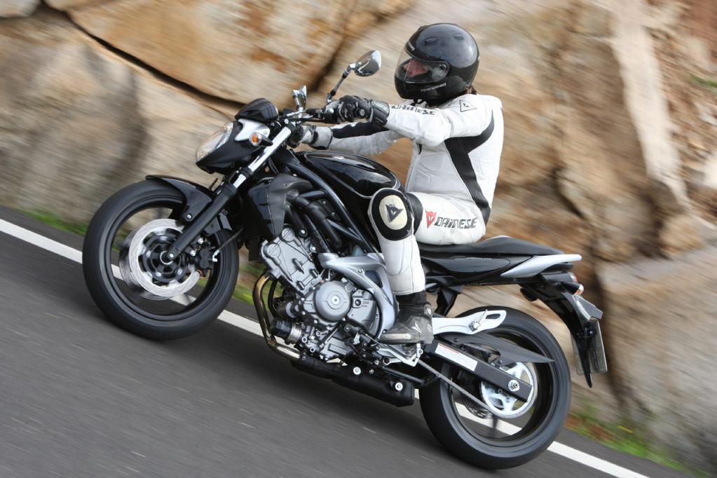 Fahrbericht Suzuki Gladius 650: Spaßiger V-Twin für kleines Geld 
