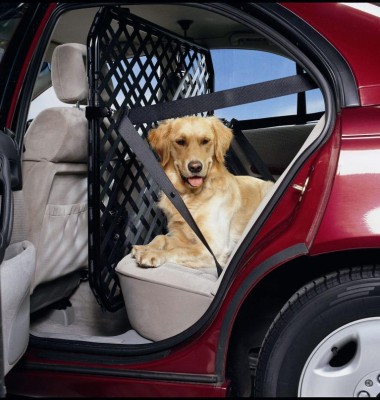 Studie: Hunde umweltschädlicher als Geländewagen 