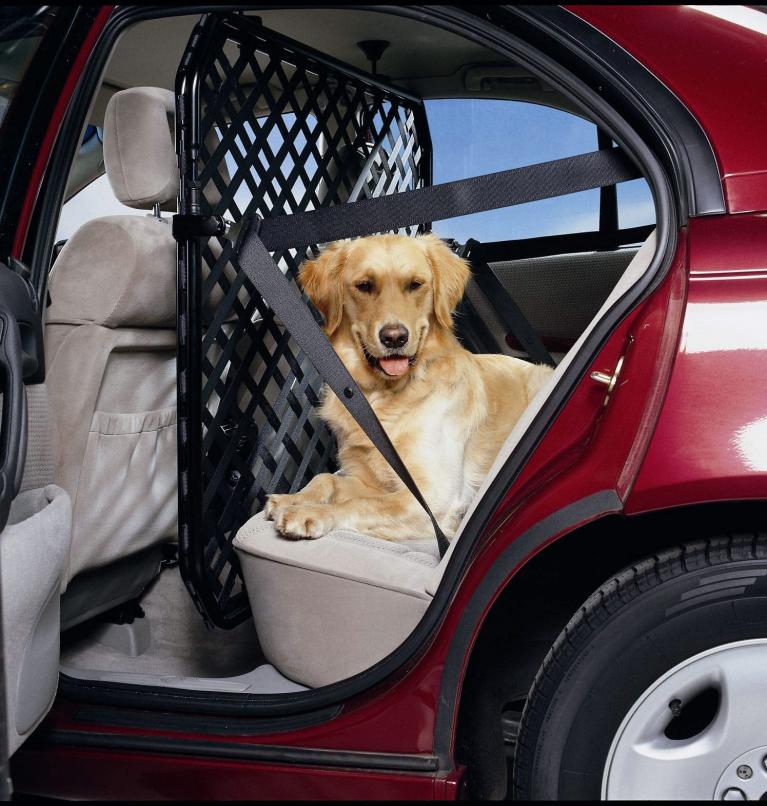 Studie: Hunde umweltschädlicher als Geländewagen 