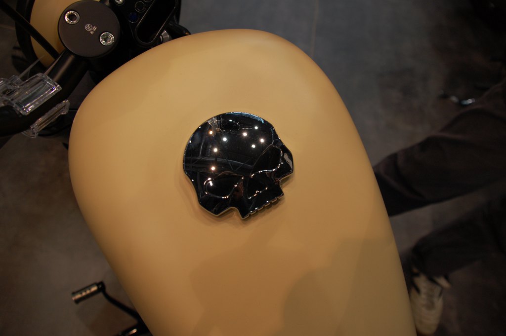 Motorrad Messe Leipzig 2010: Harley-Davidson & Triumph