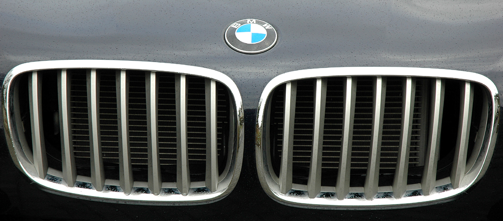 BMW X5: Kühlergrill und darüber das Emblem auf der Haube.