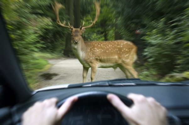 gefunden bei: sparkassenversicherung.de
