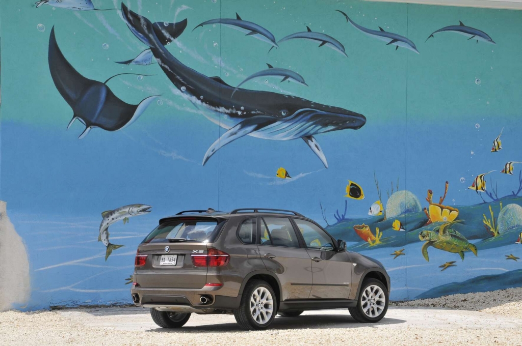  BMW X5: Bekanntes Gesicht, sparsamere Motoren 