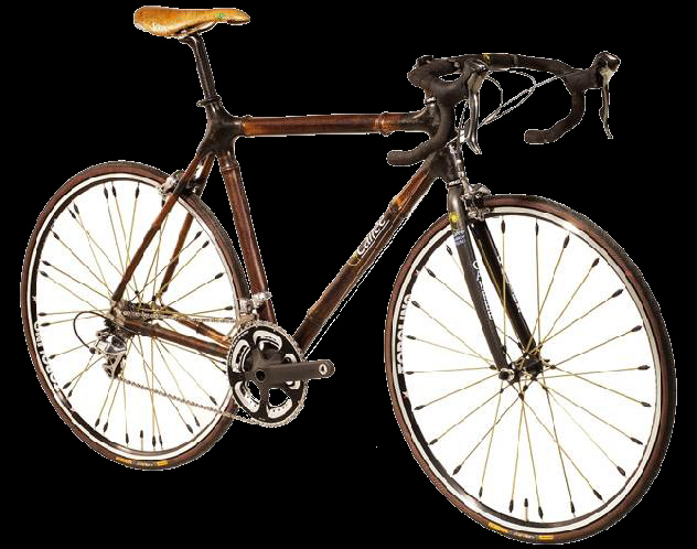 Bambus-Fahrrad als Innovation ausgezeichnet 
