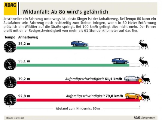 Gegen Wildunfälle hilft vor allem weniger Tempo