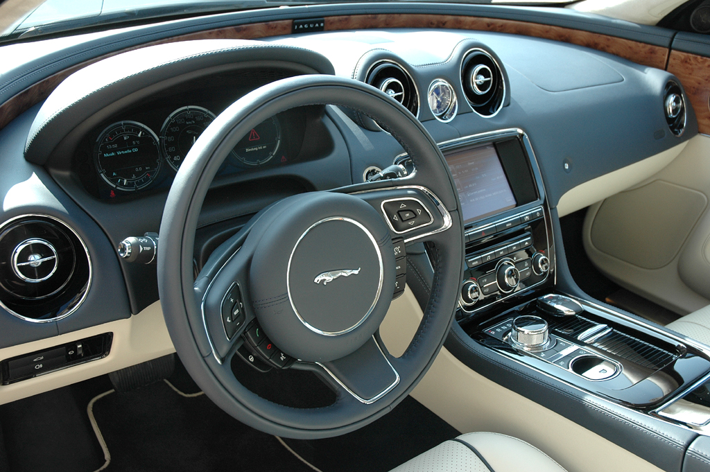 Jaguar - Bild(10)