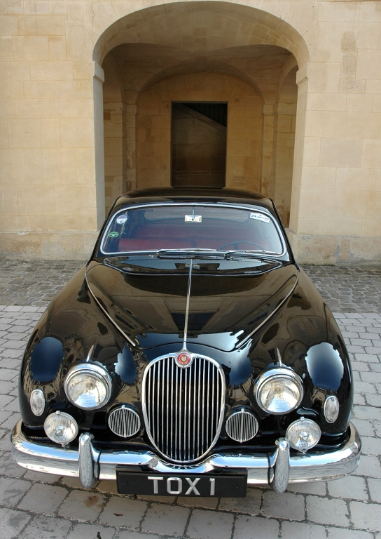 Jaguar - Bild(15)