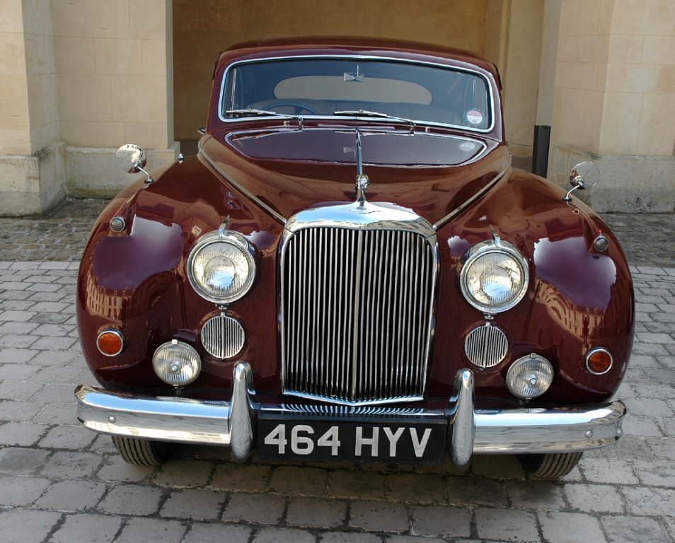 Jaguar - Bild(16)