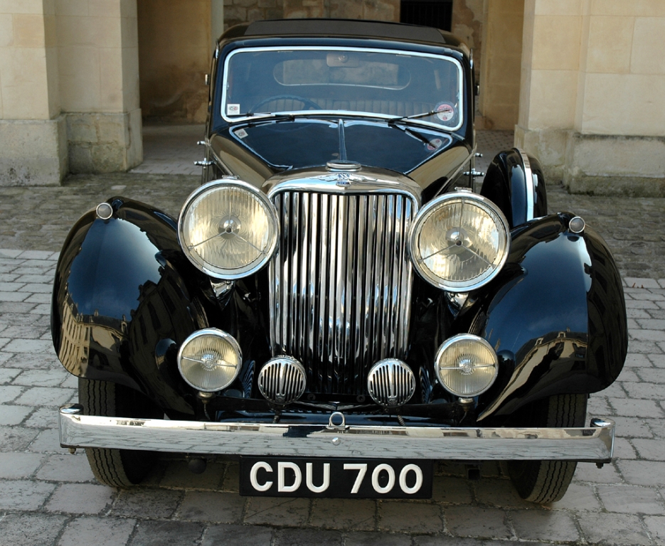 Jaguar - Bild(17)